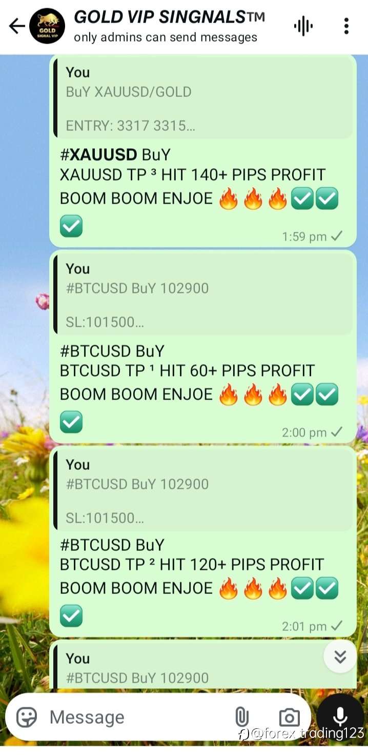 All TP done ✅✅