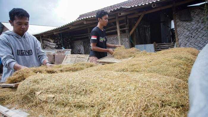 Pengusaha Khawatir Aturan Ini Bakal Tekan Industri Padat Karya