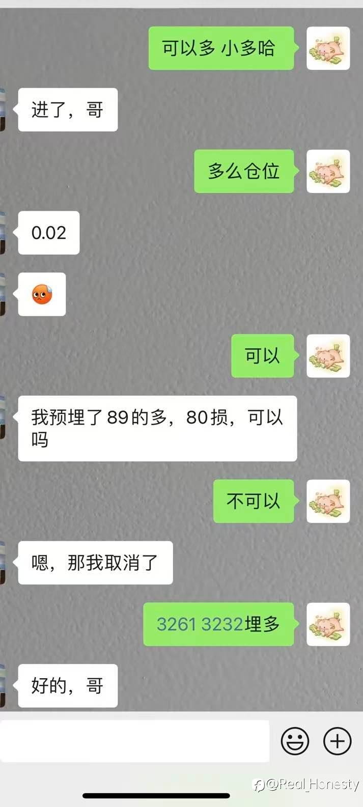 feed-image-1