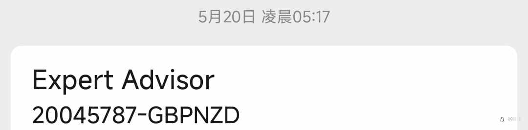 复盘之5.20空磅纽背后的故事