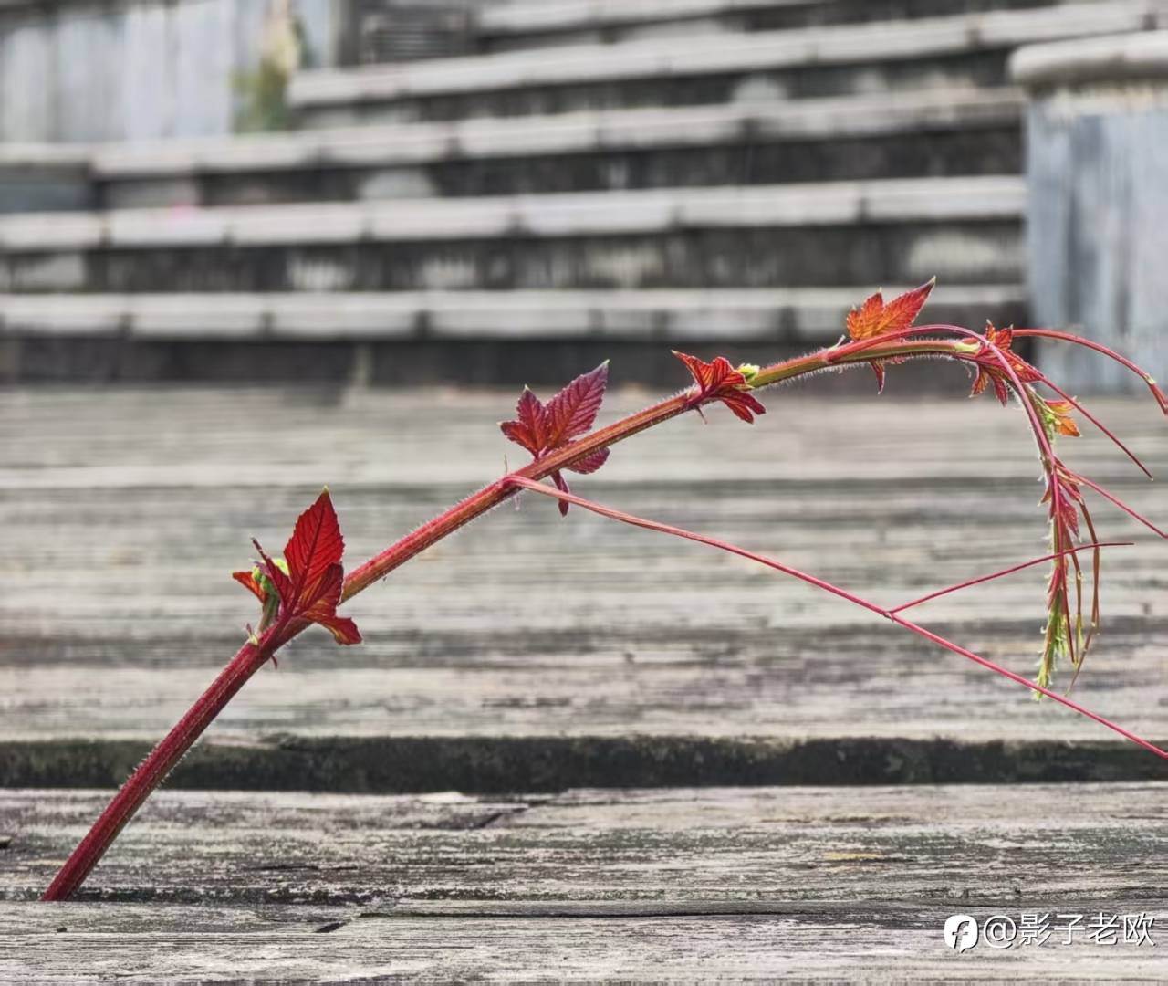 想买入黄金？仍需等待时机！