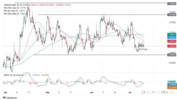 Canadian Dollar Trend: How to Profit from CAD in Forex