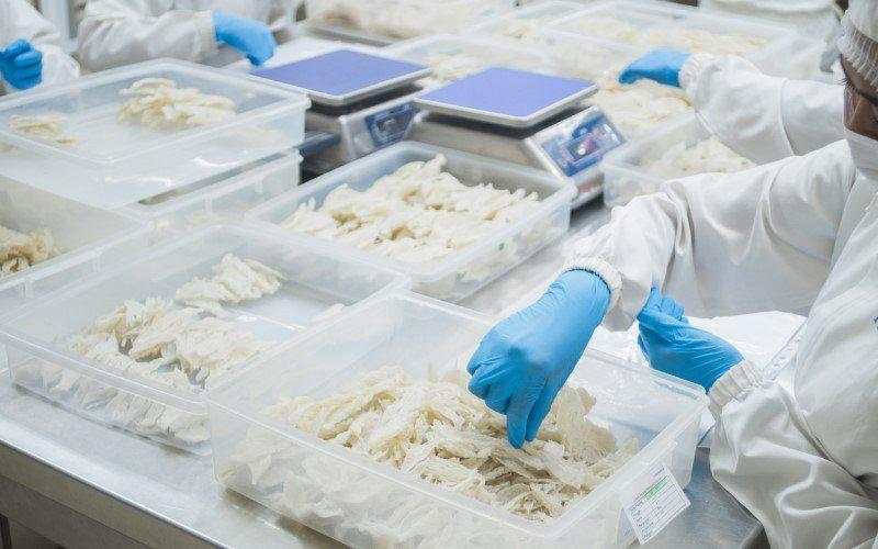 Penjualan NEST Turun 10 Persen di 2024 Gara-Gara Harga Sarang Burung Walet Anjlok