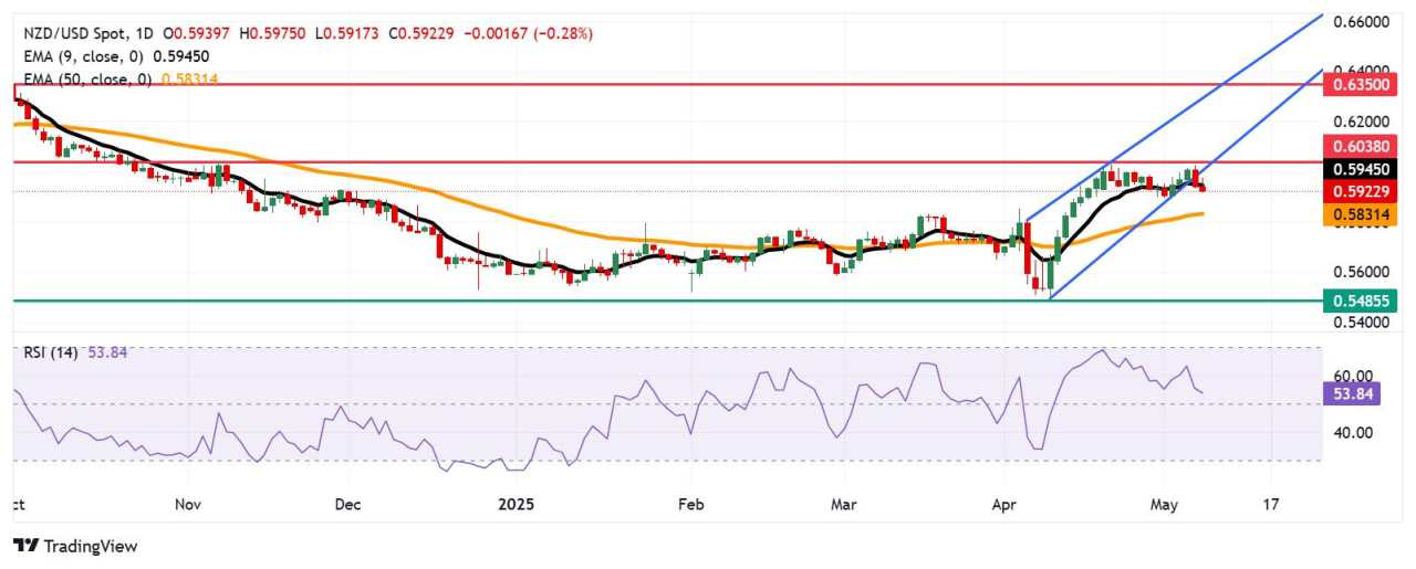 NZD/USD Price Forecast: Remains below nine-day EMA near 0.5950 psychological resistance