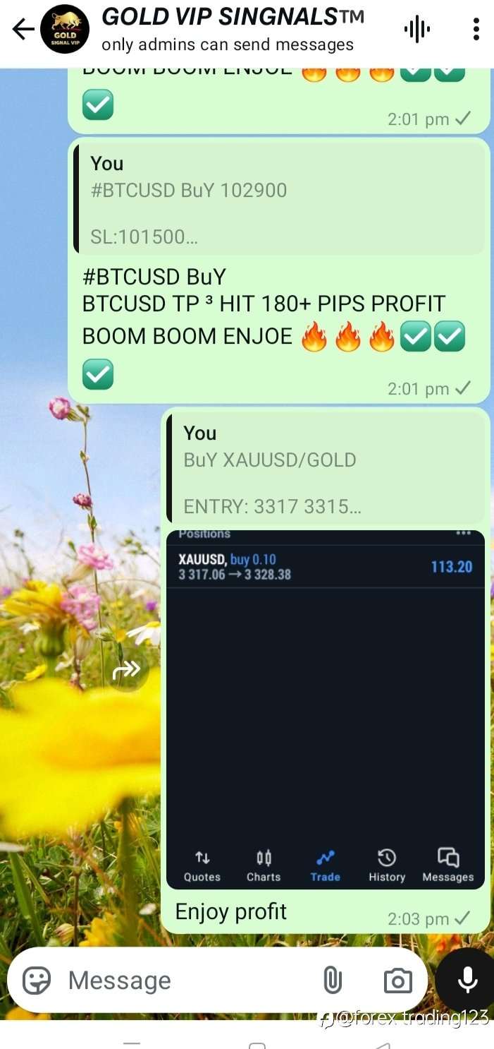 All TP done ✅✅