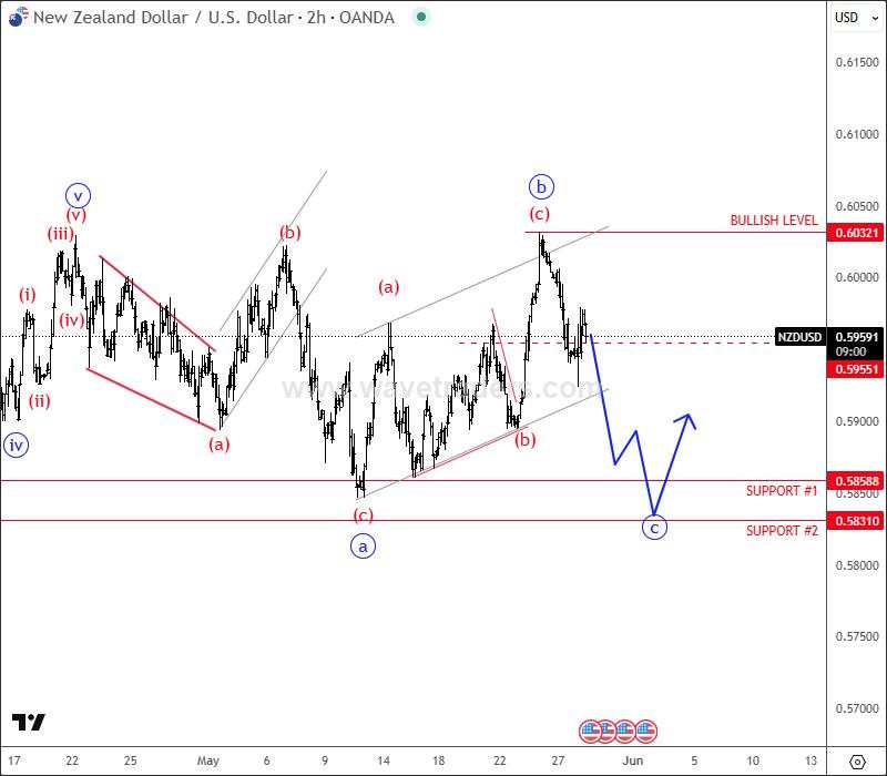 Kiwi consolidates within a flat correction before further rally [Video]