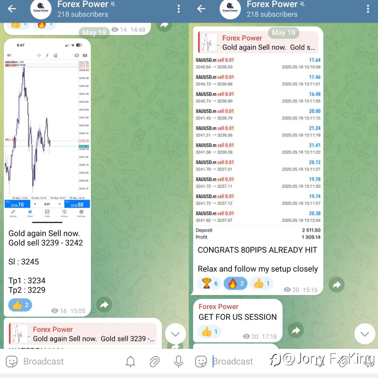 feed-image-1