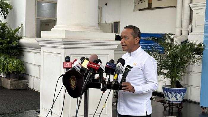 Proyek Hilirisasi Dipangkas Jadi 18, Ada Nikel hingga Perikanan