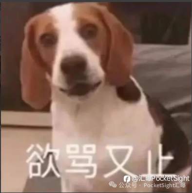 曝光、维权、推荐？这些全是剧本