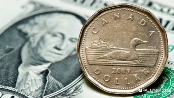 Canadian Dollar Trend: How to Profit from CAD in Forex