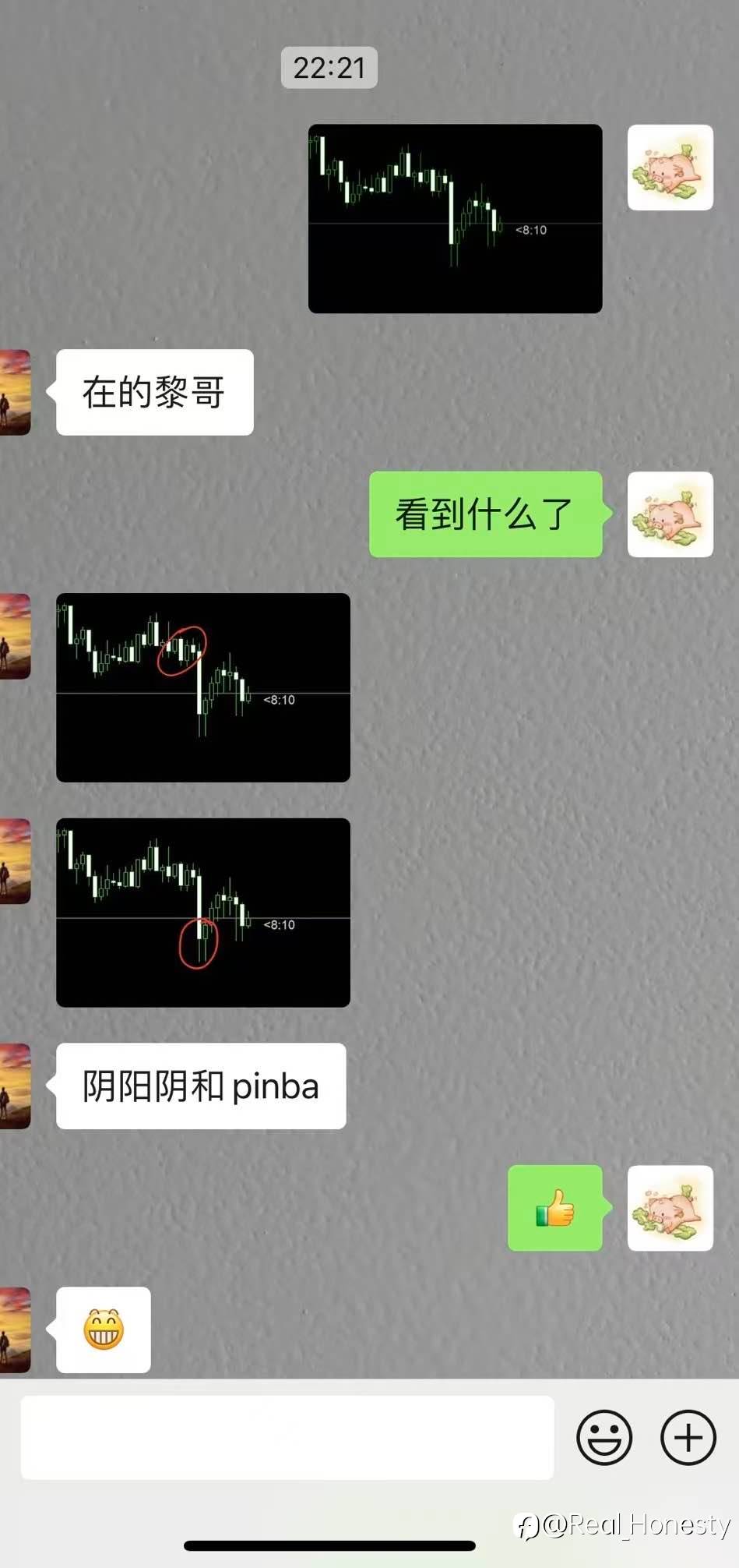 feed-image-2