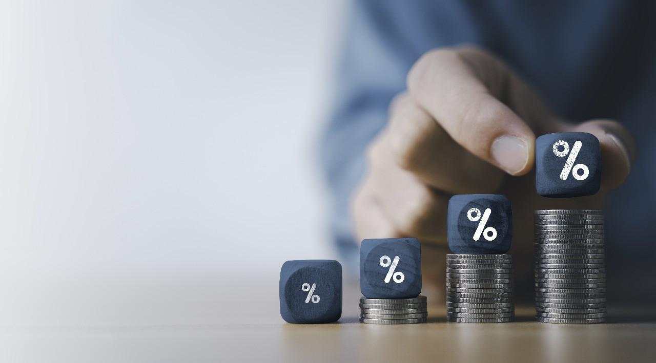 Makna Strategi Investasi Bird in Hand, Dividen Investing VS Capital Gain Oriented