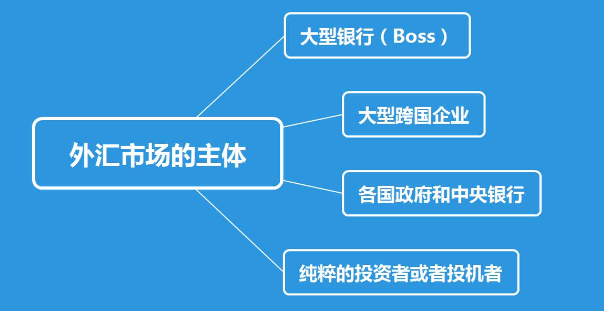 【外汇基础知识】外汇市场的主体都有哪些