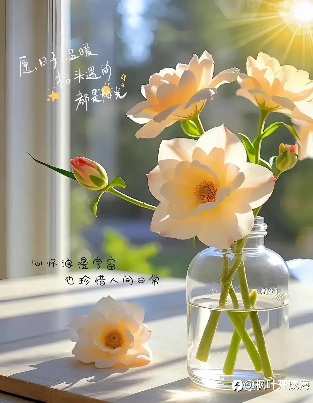 feed image