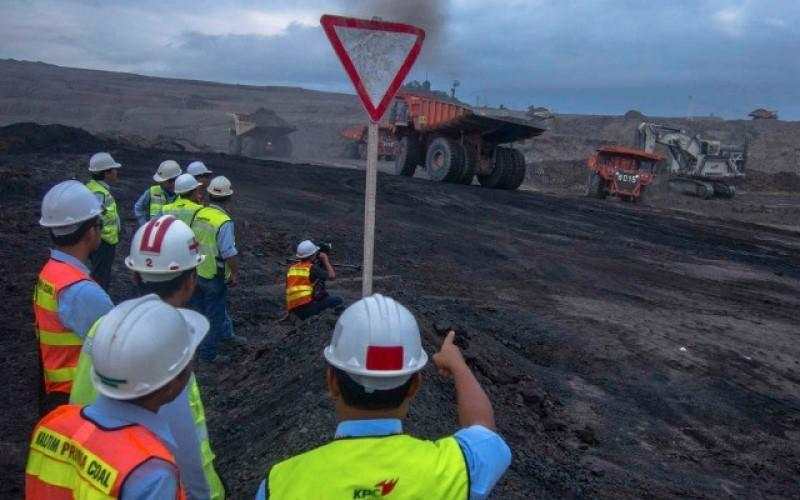 Saham BUMI Melejit, Tersengat Rencana Aksi Korporasi