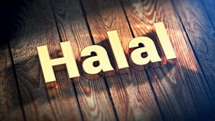 Perusahaan RI & Jepang Kerja Bareng Garap Produk Halal