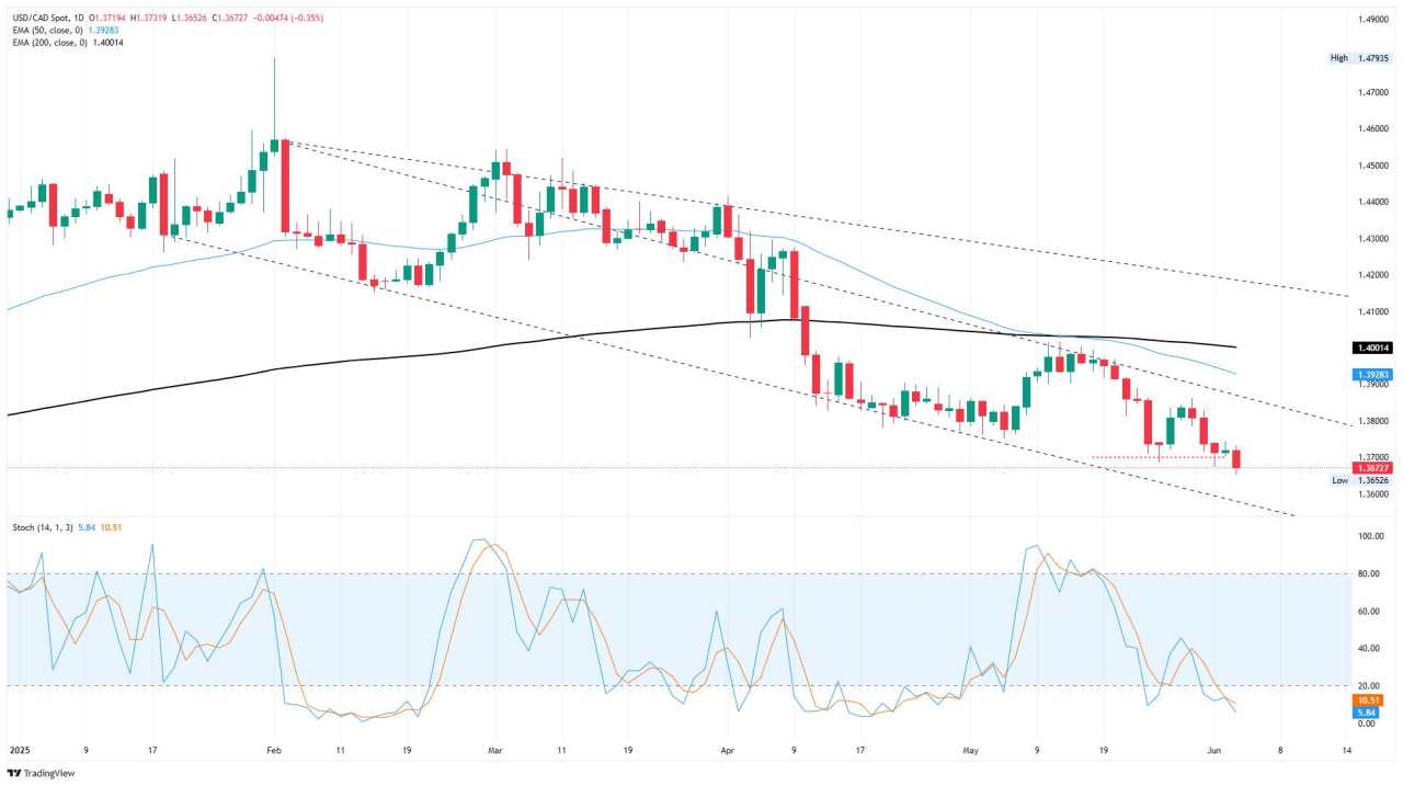 Canadian Dollar lurches into fresh highs after BoC holds off on rate cuts