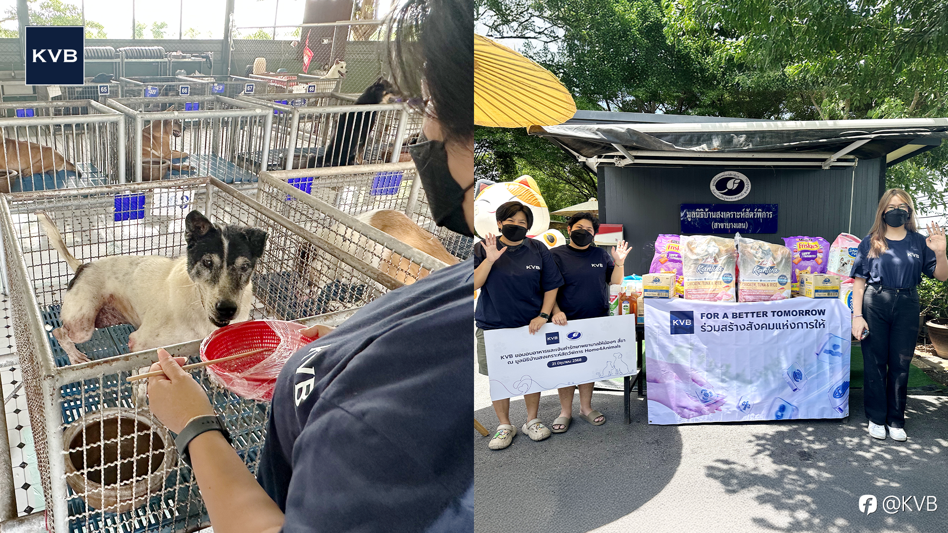 KVB Gives Back in Thailand：Big Hearts for Small Paws