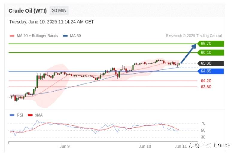 Trading Central 黄金外汇分析：欧美黄金原油2025.06