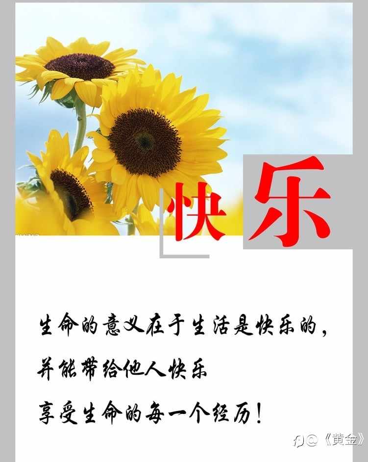 交易之茧：为何我们在数字与盈亏间，渐失天真快乐？