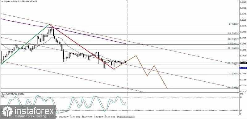 Analisa Teknikal Pergerakan Harga Intraday Mata Uang Kripto Doge, Jumat 20 Juni 2025.