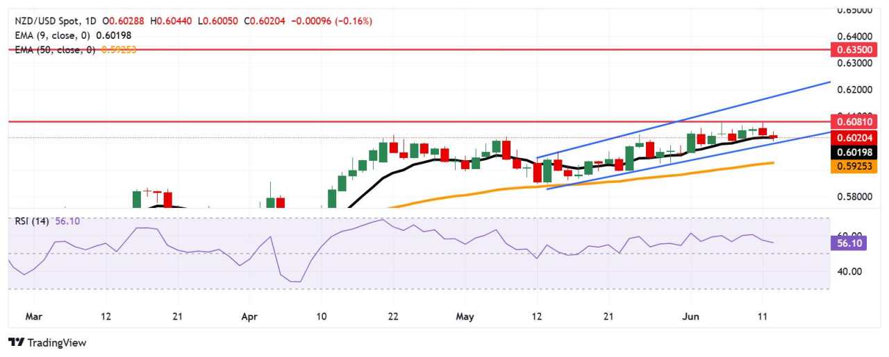 Prakiraan Harga NZD/USD: Menguji Support EMA Sembilan Hari di Dekat 0,6000