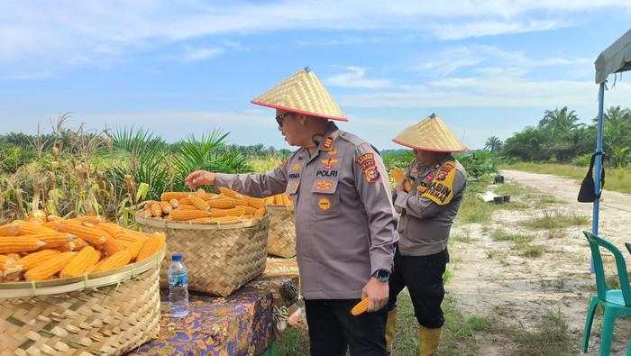 Produksi Jagung RI Diprediksi Melimpah