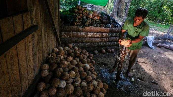Kementan Jamin Koperasi Merah Putih Tak Matikan Bisnis di Desa