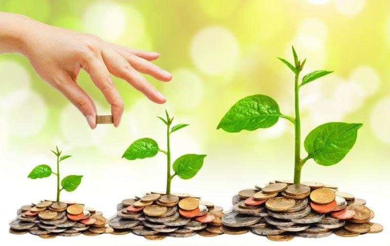 Dana Kelolaan Reksa Dana Capai Rp515 Triliun, Berikut Lima Manajer Investasi Terbesar