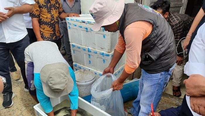 Tawaran Bapak Asuh Mengalir buat Kopdes Merah Putih