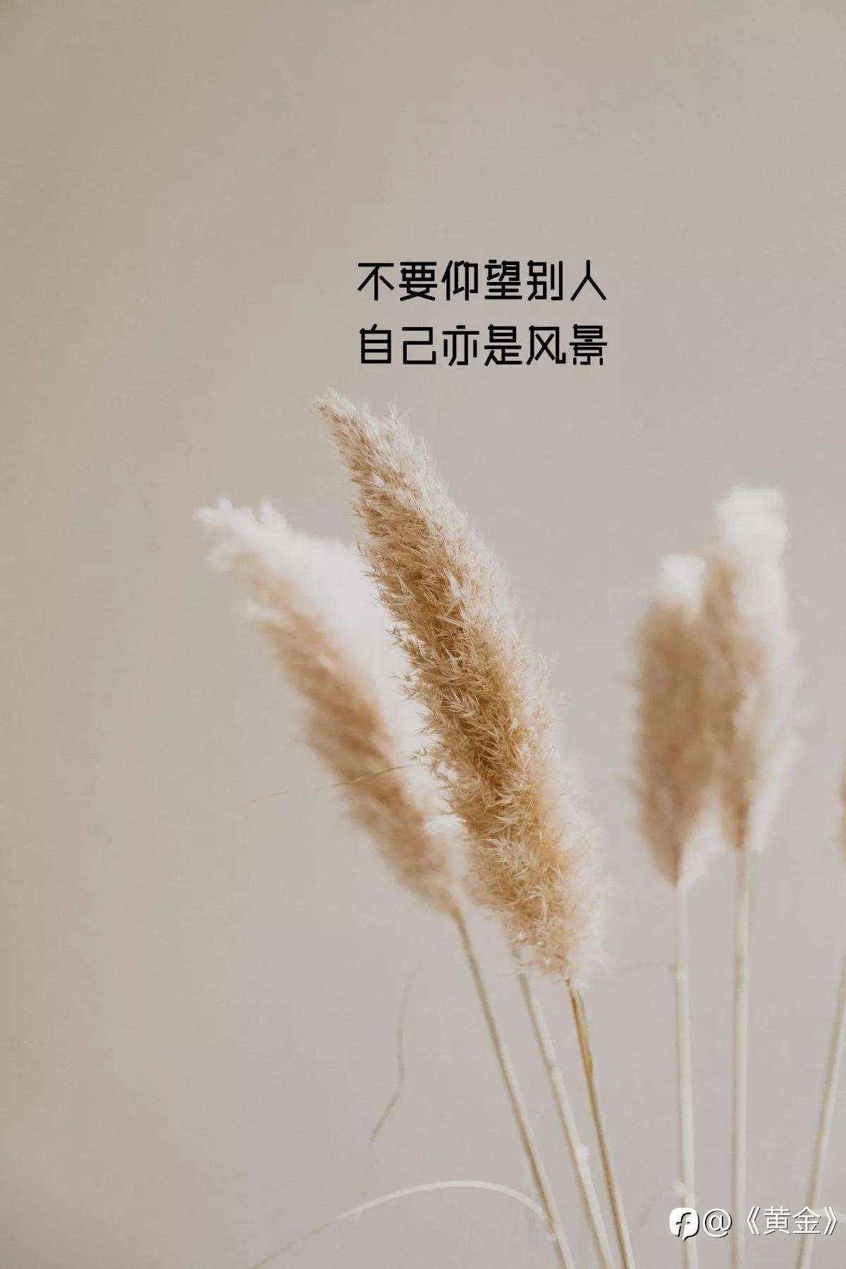 交易心态：凌驾于技术之上的王者——构建交易成功的基石