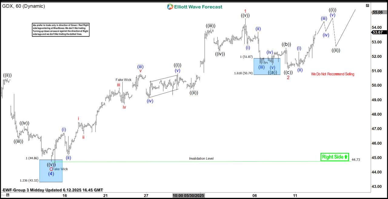 Gold Miners (GDX) Another Buying Opportunity at the Blue Box