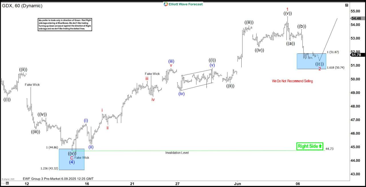 Gold Miners (GDX) Another Buying Opportunity at the Blue Box