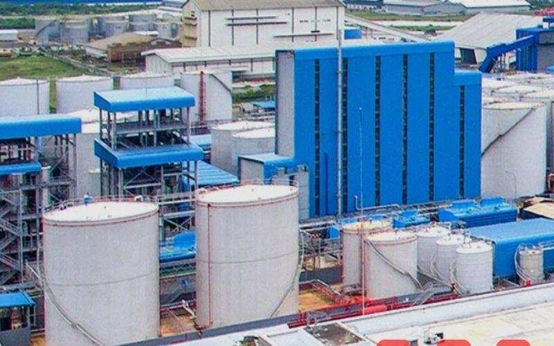 PBSA Bagikan Dividen Rp55 per Saham, Intip Jadwal Pencairannya