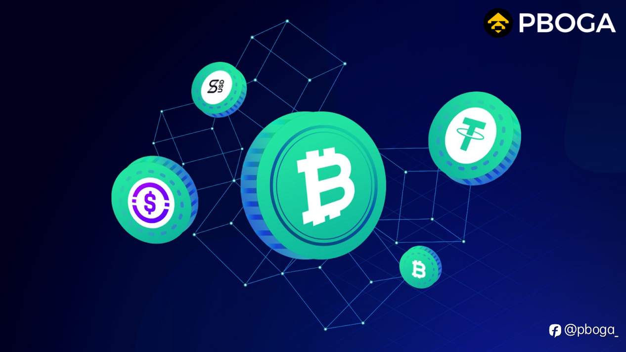 Ekosistem Stablecoin PBOGA Mempercepat Ekspansi – Malam Sebelum Ledakan Aplikasi Asli