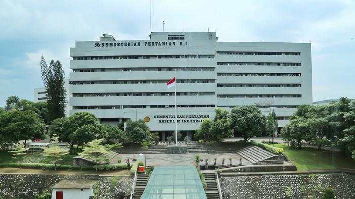 Kementan Ungkap Rencana Hilirisasi 14 Komoditas, Bisa Serap 8 Juta Orang