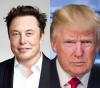 Wall Street Ditutup Melemah, Saham Tesla Anjlok di Tengah Ketegangan Musk-Trump