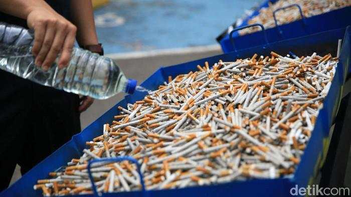 Cegah Peredaran Rokok Ilegal, Dirjen Bea Cukai Mau Bentuk Satgas