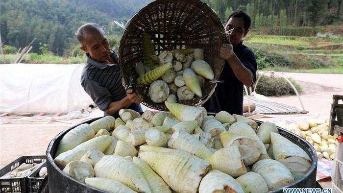 RI Mau Tiru Jurus China Hapus Kemiskinan