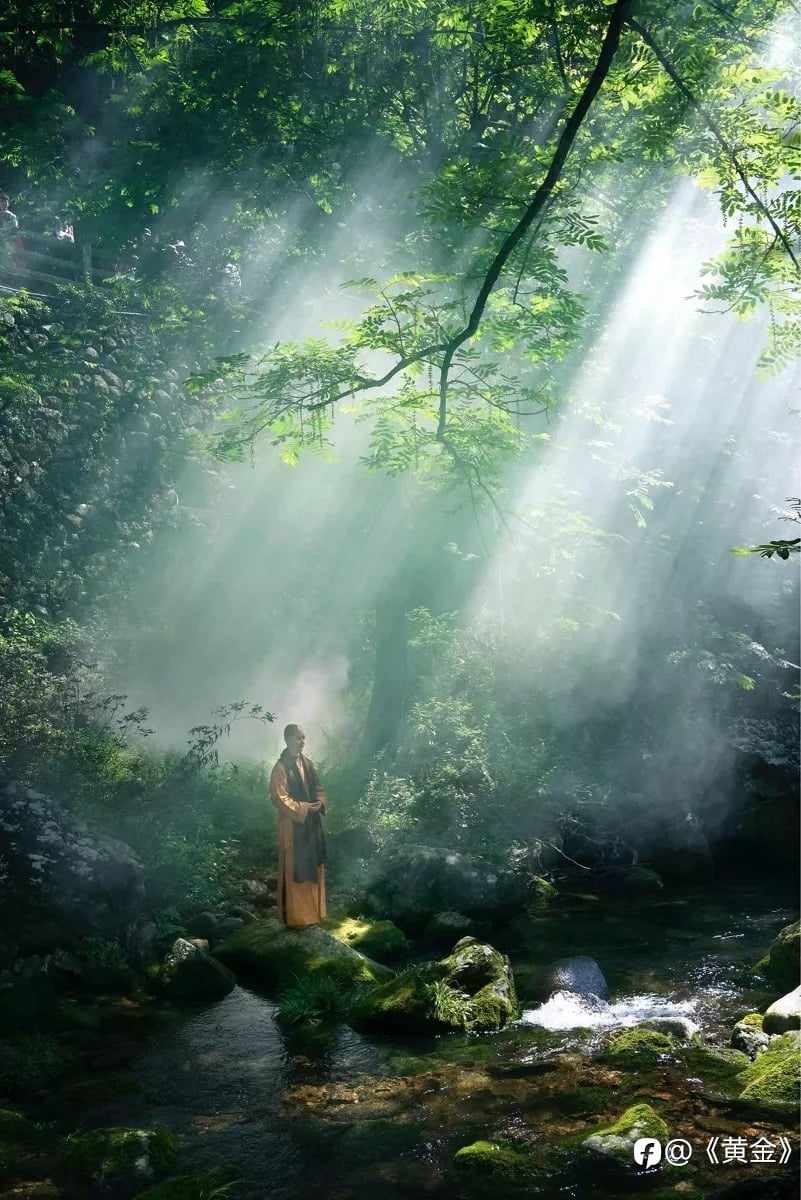交易之茧：为何我们在数字与盈亏间，渐失天真快乐？