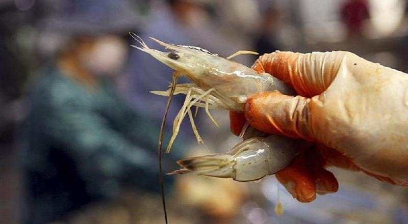 Penerimaan Kas Anjlok, Ini Penyebab Buruknya Kinerja Agro Bahari (UDNG)