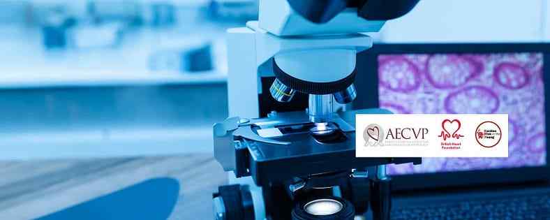 Course on Cardiac Pathology Exploring New Treatment Frontiers