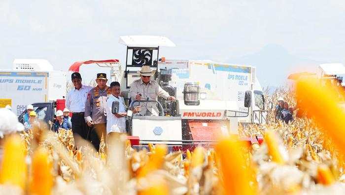 Prabowo Kejar Swasembada Pangan-Genjot Penghasilan Petani