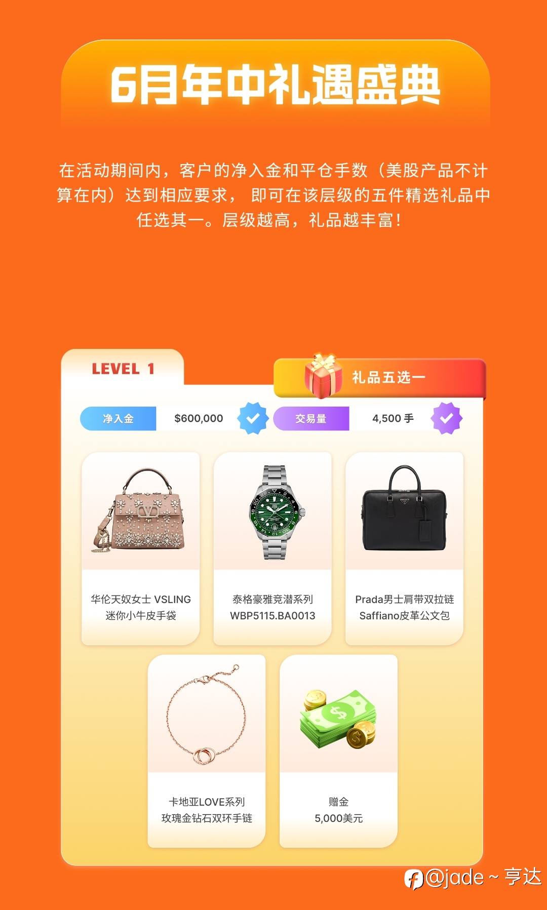 feed-image-1