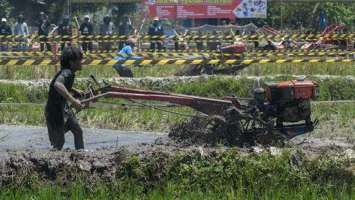 Begini Peran Penting Teknologi Pertanian ke Industri Pangan