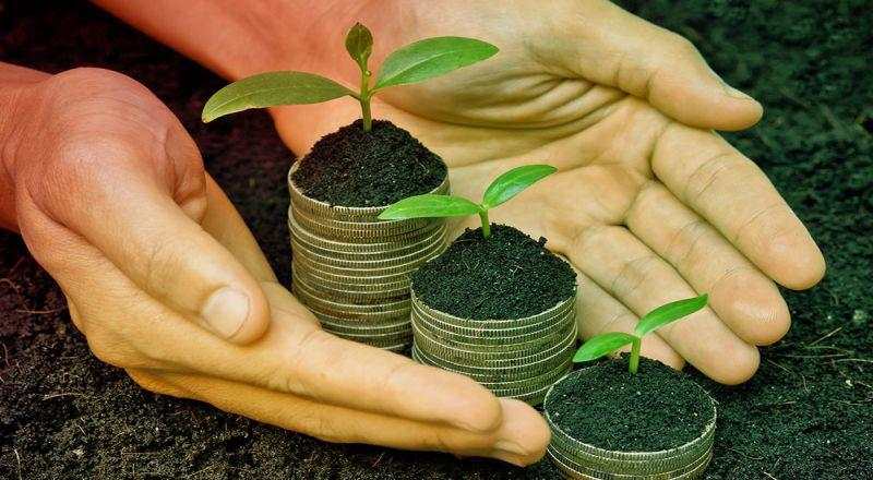 Penerbitan Green dan Social Bond Tembus Rp36 Triliun per Mei 2025