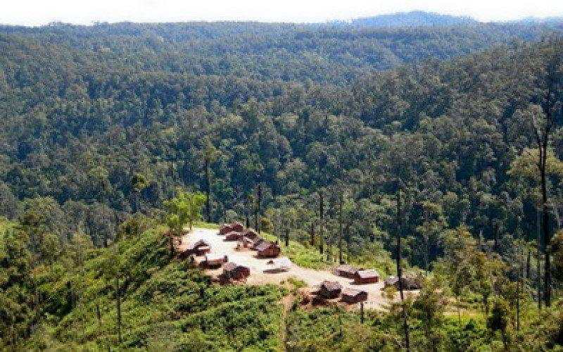 Perkuat Bisnis Karbon, WOOD Targetkan Sertifikasi Verra Bisa Terbit di 2025