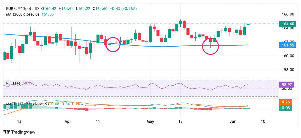 EUR/JPY Price Forecast: Climbs above mid-164.00s, bulls retain control near multi-week top