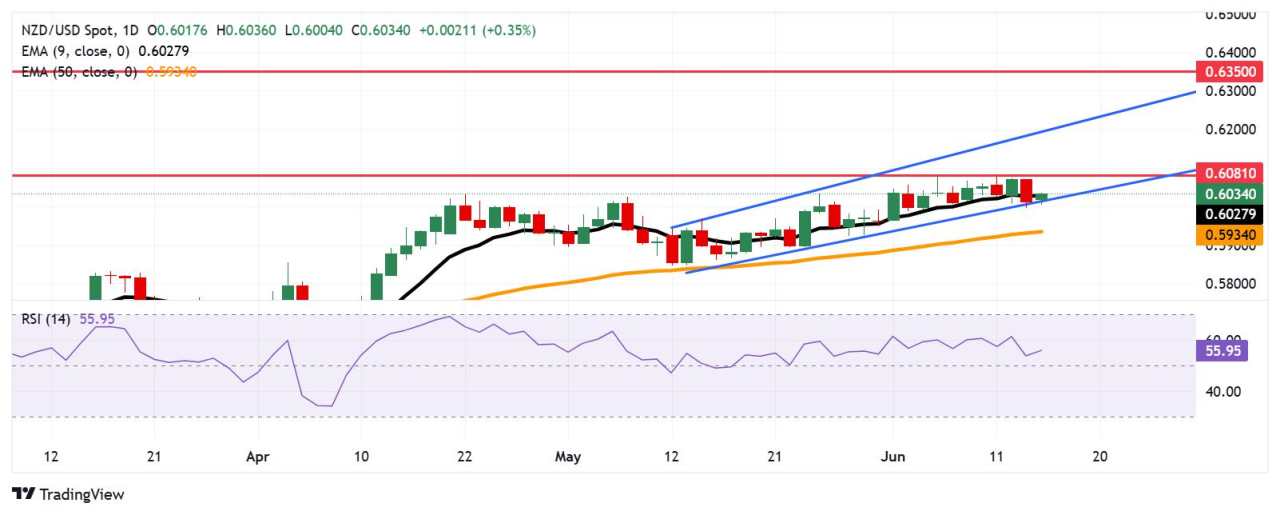 NZD/USD Price Forecast: Advances toward 0.6050 after breaking above nine-day EMA