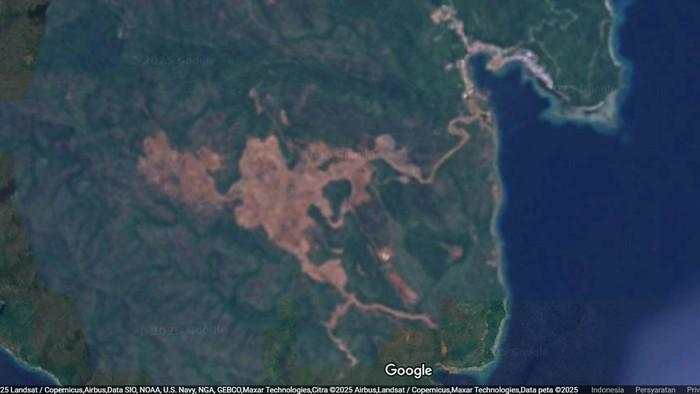 Eks Ketum PB HMI Sebut Pencabutan IUP di Raja Ampat Jadi Keputusan Tepat